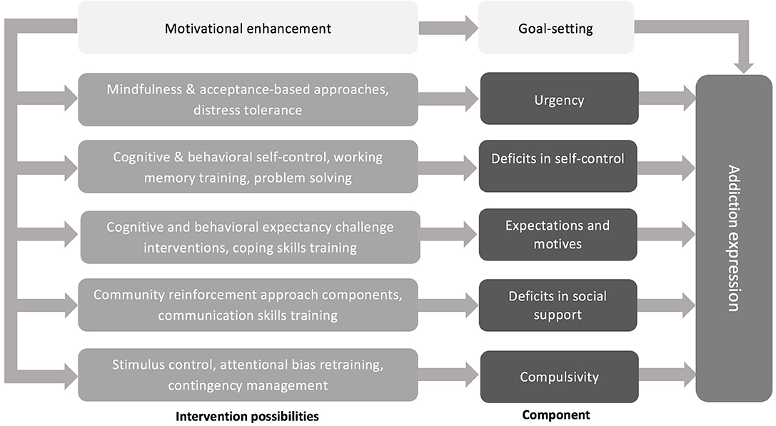 Frontiers | Component Model of Addiction Treatment: A Pragmatic ...