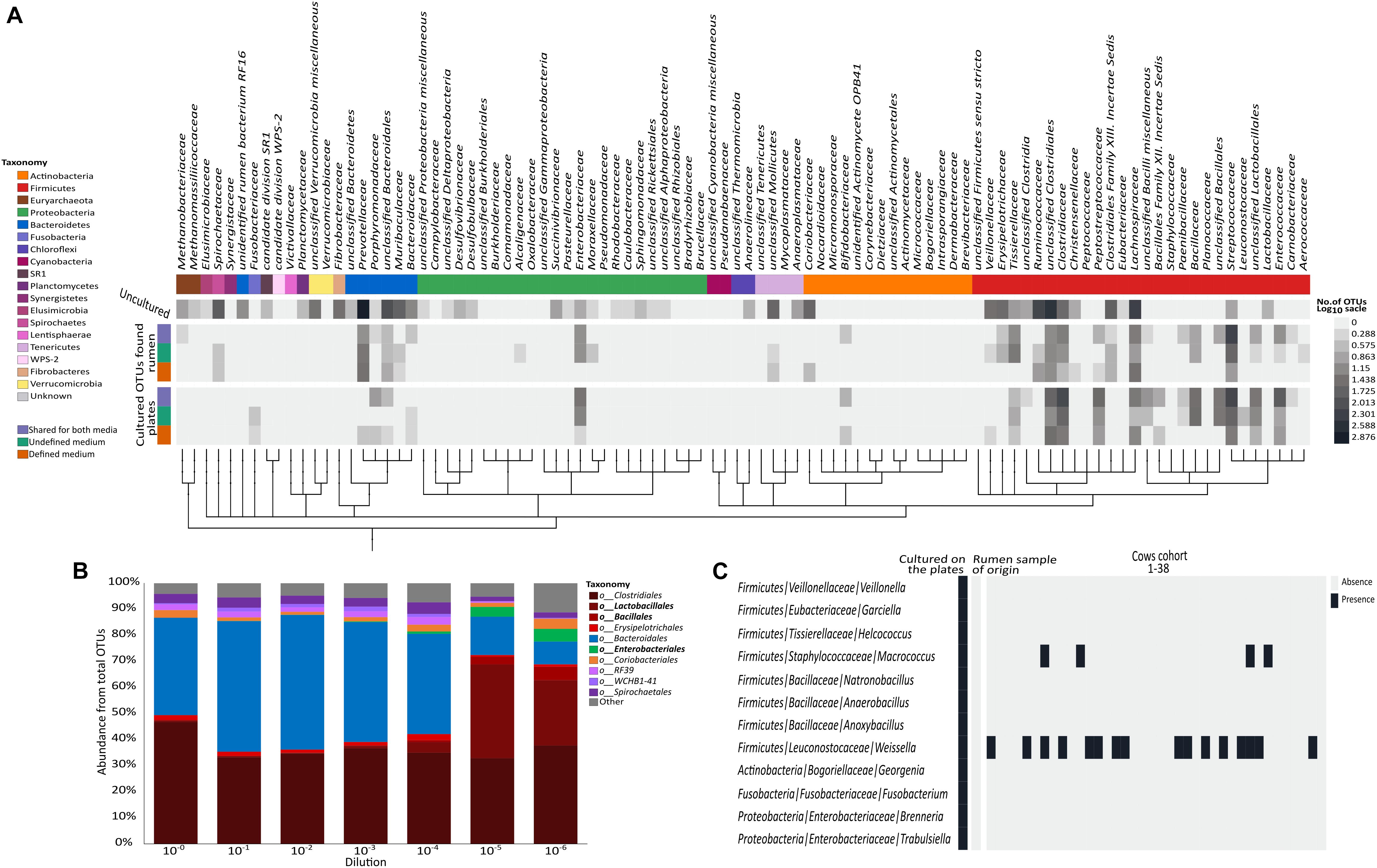 Microbiology Culture Media Chart