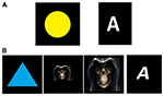 www.frontiersin.org