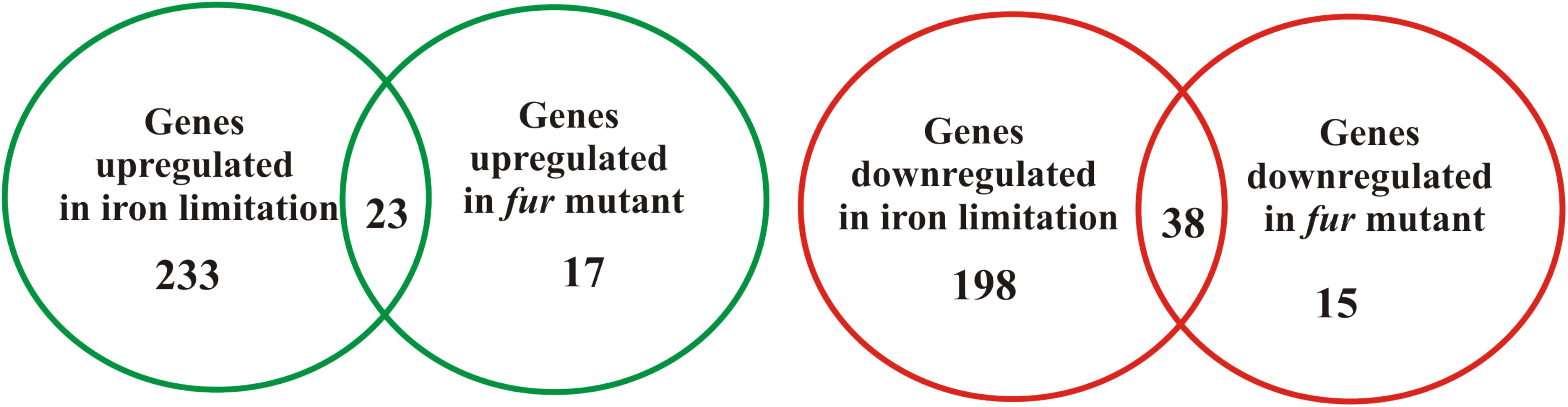 www.frontiersin.org