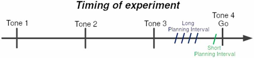 www.frontiersin.org