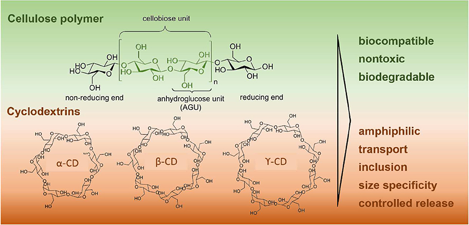 Frontiers Combining Cellulose And Cyclodextrins Fascinating Designs For Materials And Pharmaceutics Chemistry