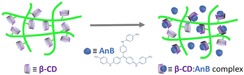 Frontiers Combining Cellulose And Cyclodextrins Fascinating Designs For Materials And Pharmaceutics Chemistry