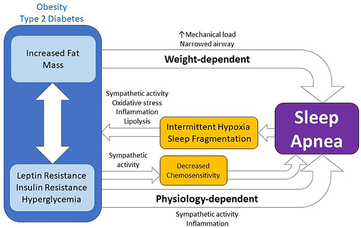 Losing sleep and weight over the MCO