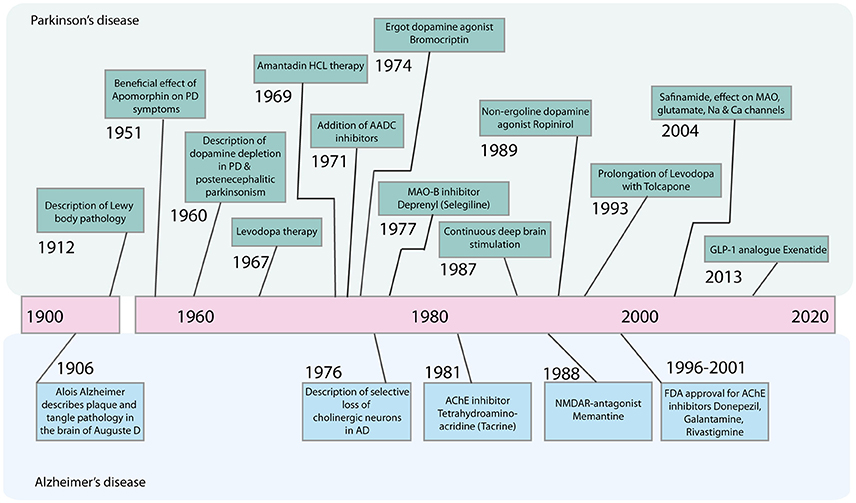 Frontiers The Therapeutic Potential Of Metformin In