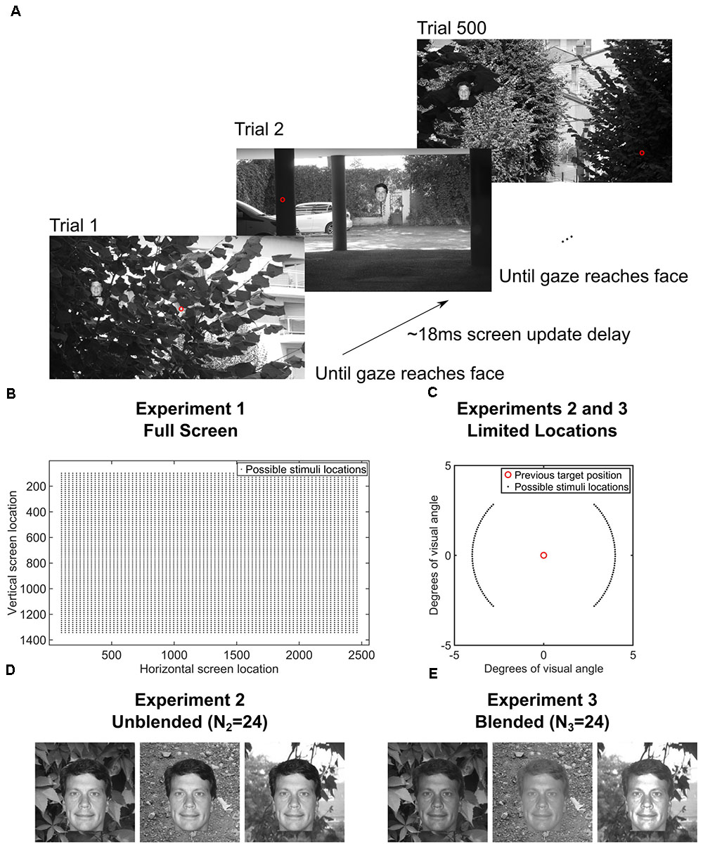 Frontiers  The Attentive Cursor Dataset