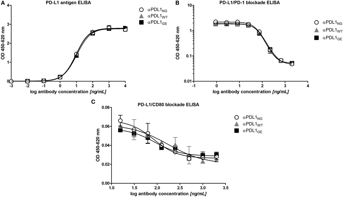 Frontiers | Glyco-Engineered Anti-Human Programmed Death-Ligand 1 ...