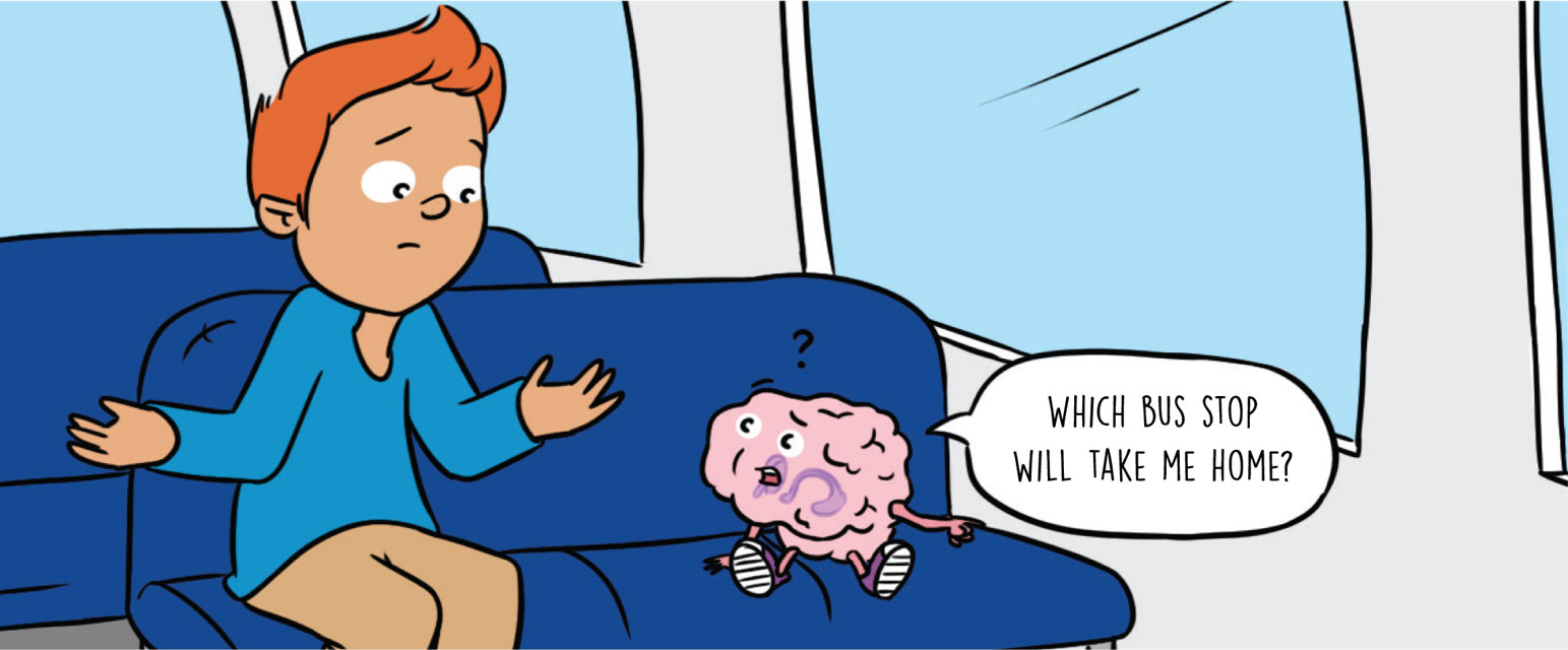 Amnesia And The Multiple Memory Systems Of The Brain Frontiers For Young Minds Amnesia And The Multiple Memory Systems Of The Brain Frontiers For Young Minds