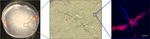 www.frontiersin.org