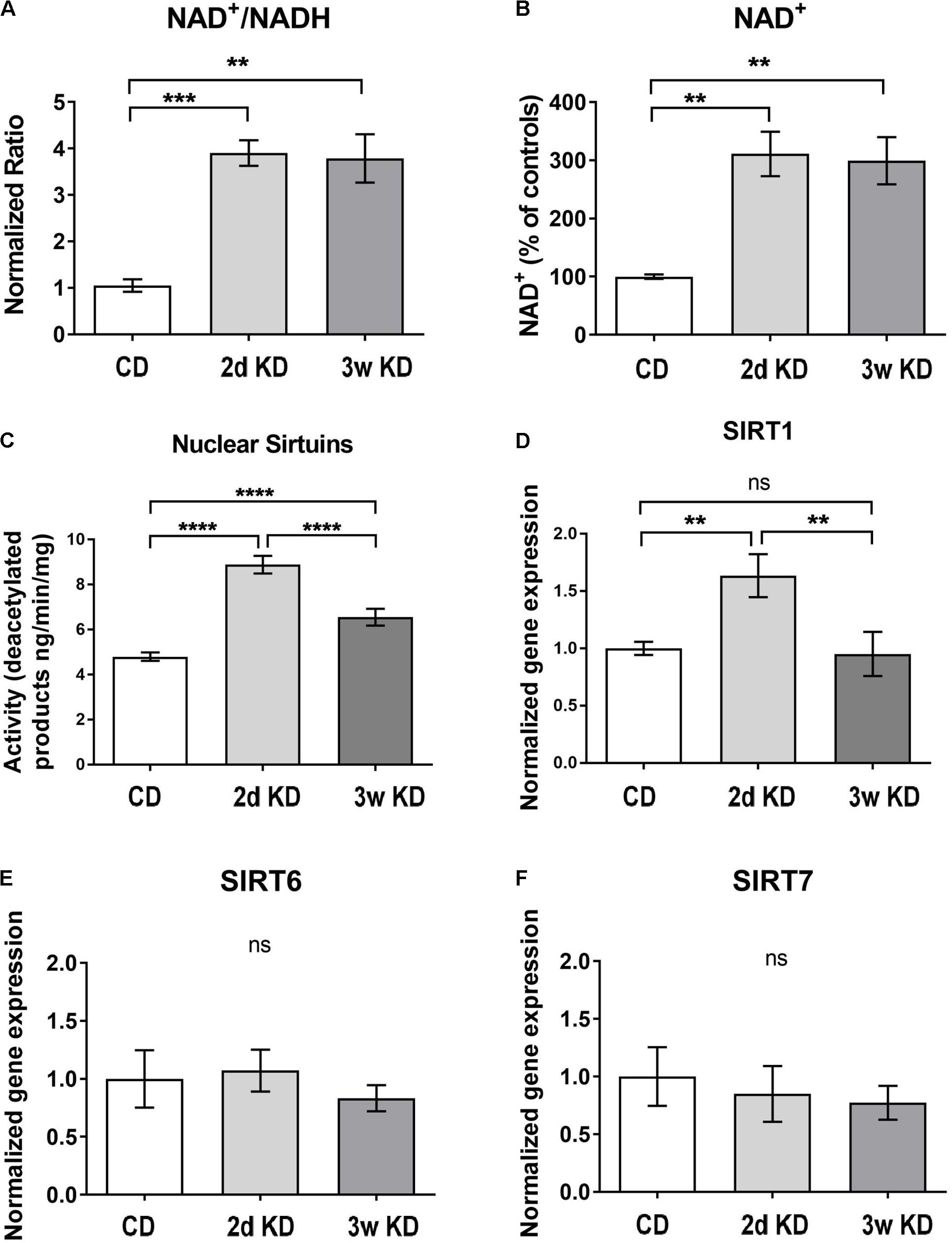 A Comprehensive Study Report On KickStart Keto
