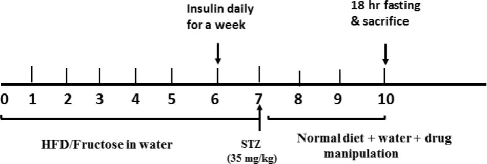 Frontiers Novel Trajectories Of Bromocriptine Antidiabetic