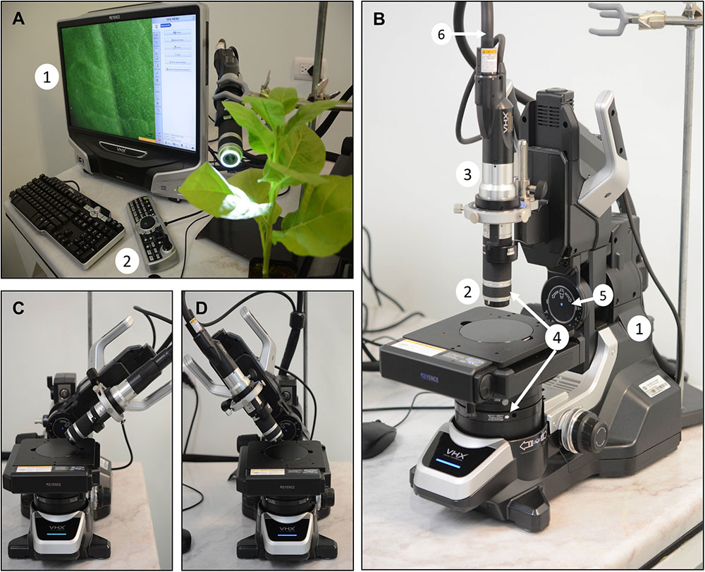 nanoscope analysis download free