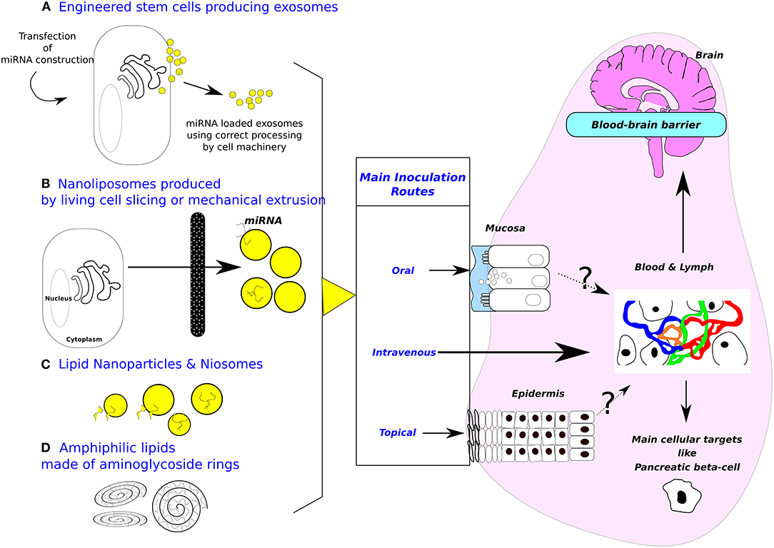 Quantitative Recoveries of Exosomes and Monoclonal Antibodies from