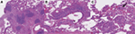 www.frontiersin.org