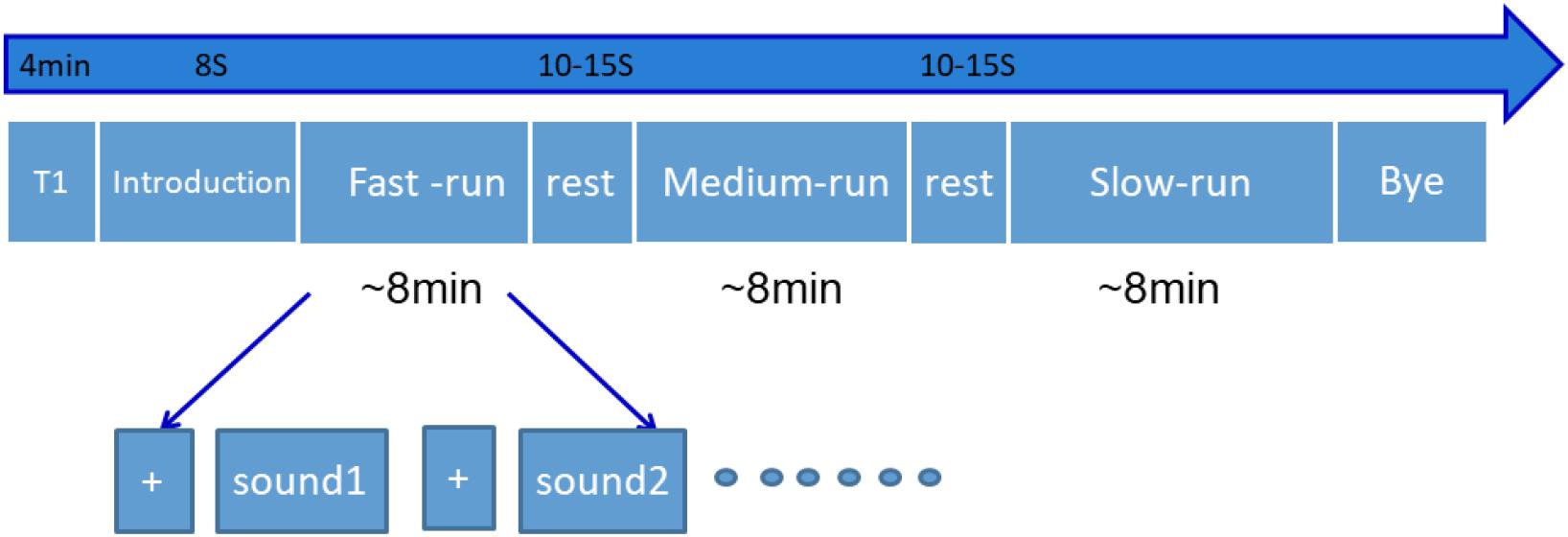 Frontiers  Effects of Musical Tempo on Musicians' and Non