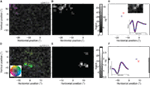 www.frontiersin.org
