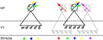 www.frontiersin.org