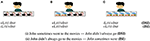 www.frontiersin.org