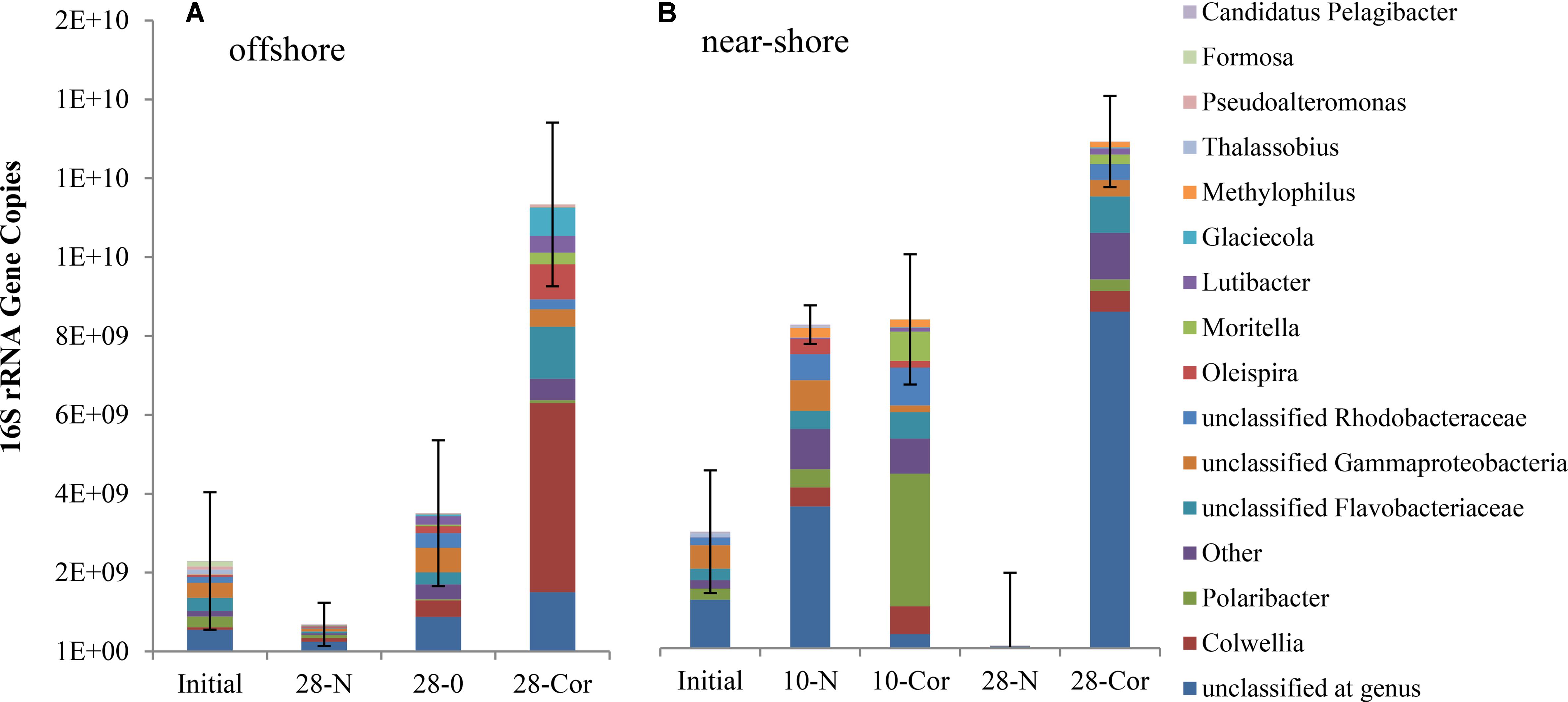 Frontiers Biodegradation Of Crude Oil And Corexit 9500 In Arctic Seawater Microbiology