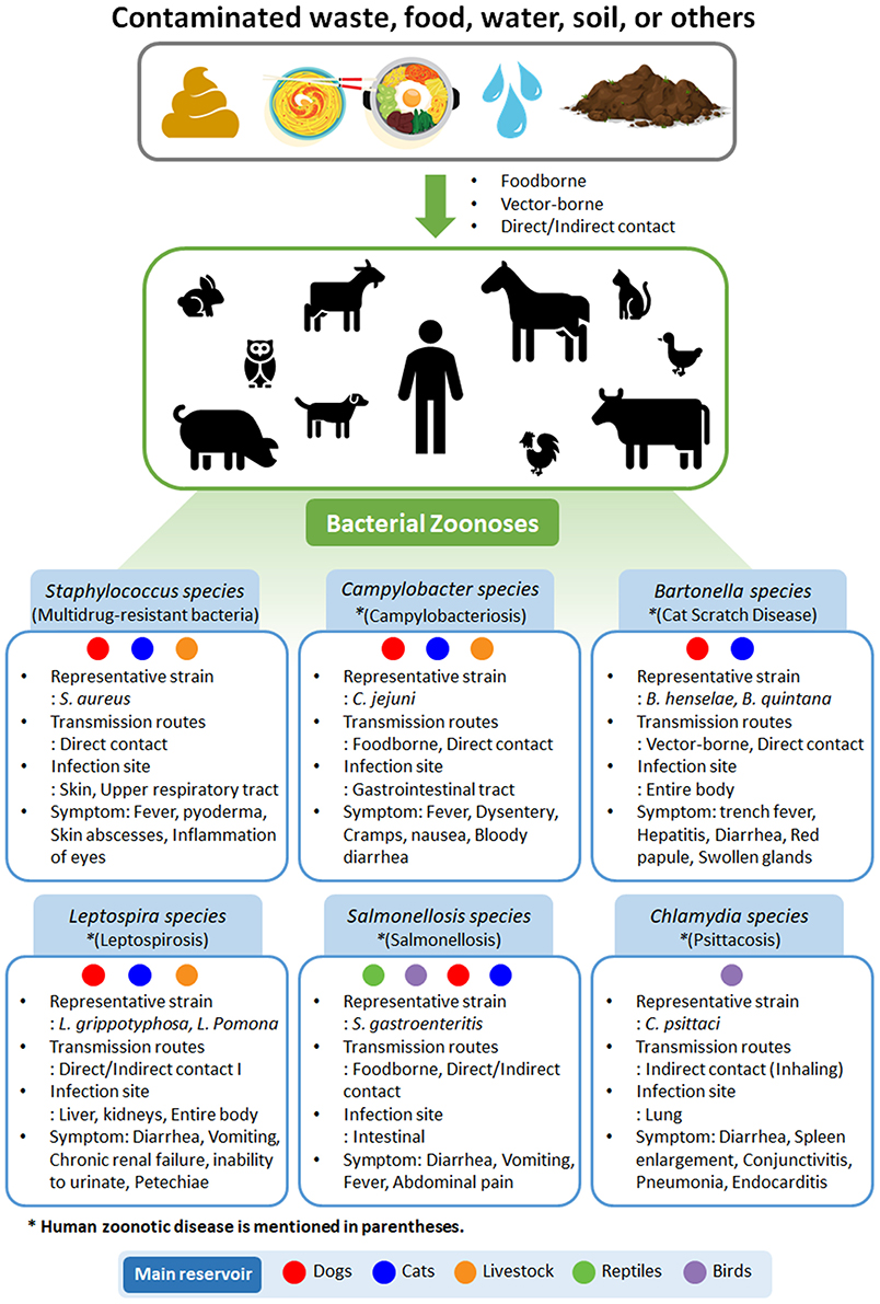 research work on disease caused by microorganisms in animals