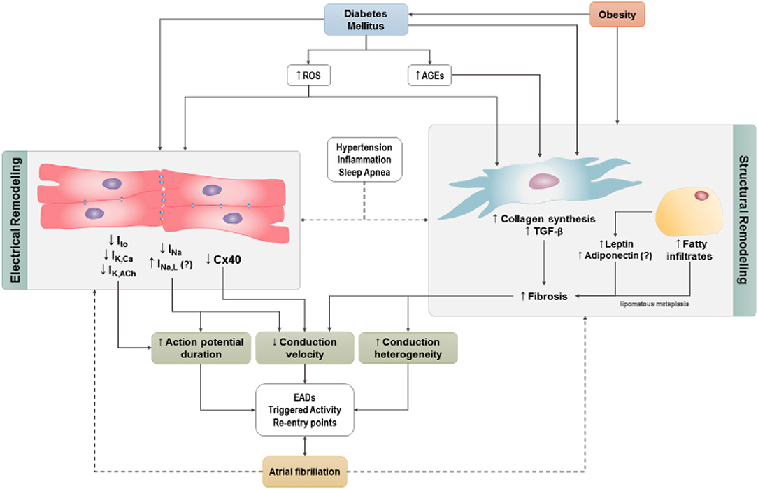 will diabetes cause atrial fibrillation