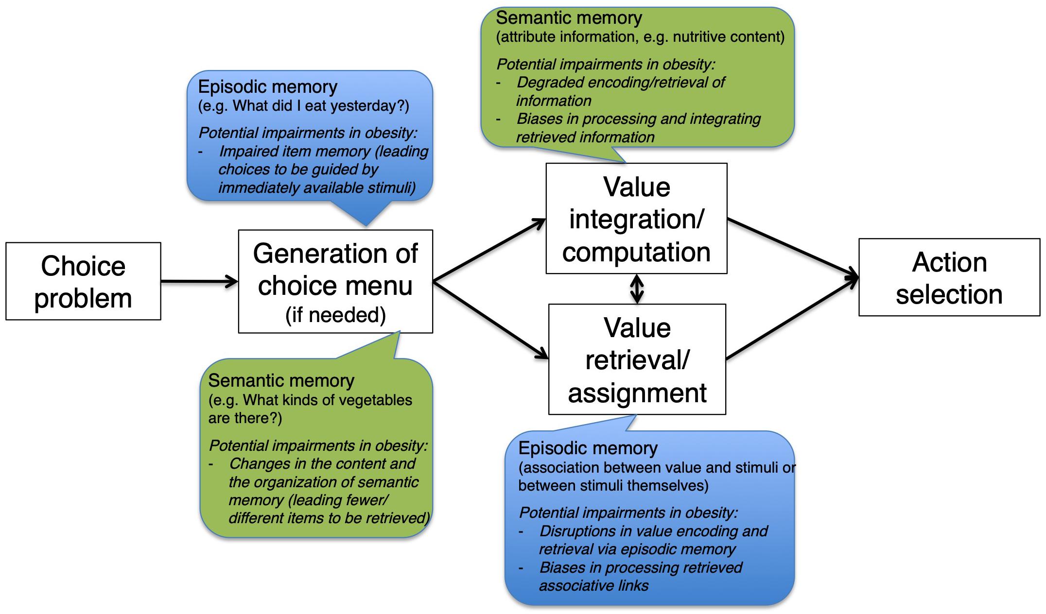 semantic memory model