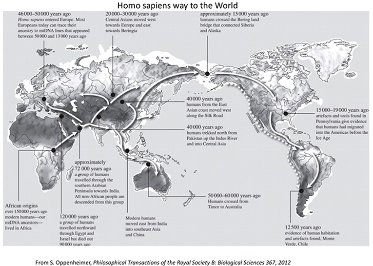 gallon desillusion sovjetisk A Brief Account of Human Evolution for Young Minds · Frontiers for Young  Minds