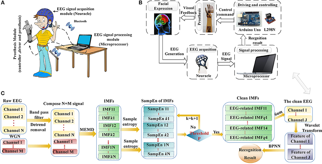 Algorithm may improve brain-controlled prostheses and exoskeletons