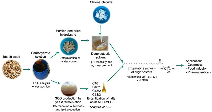 determination of total sugar content in food