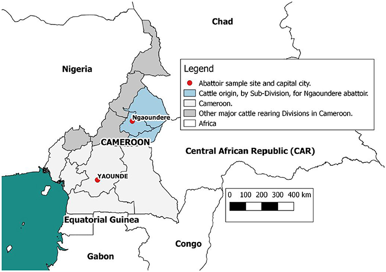 www.frontiersin.org