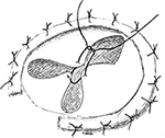 www.frontiersin.org