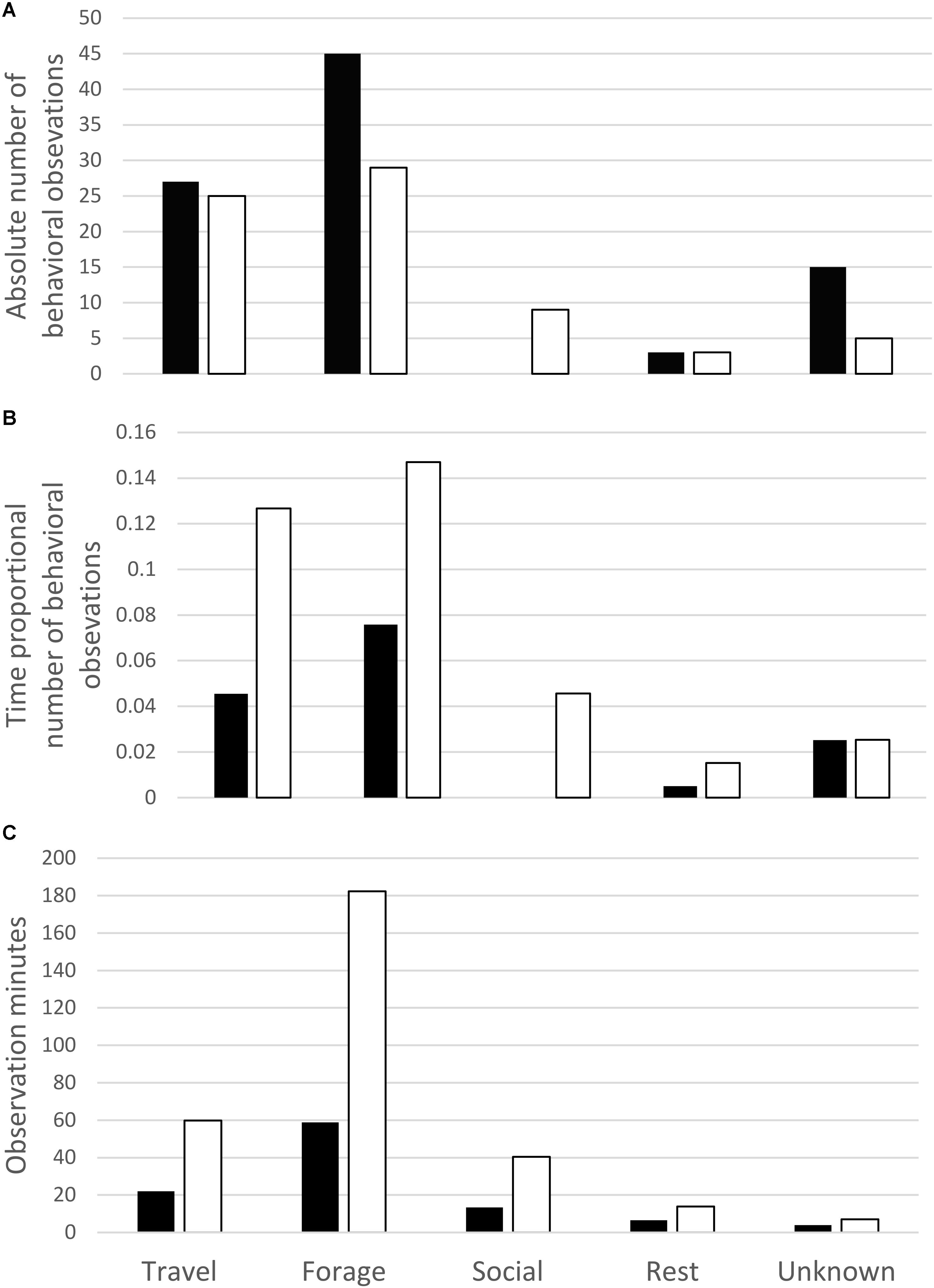 Frontiers | Drone Up! Quantifying Whale Behavior From a New Perspective Improves ...3065 x 4225