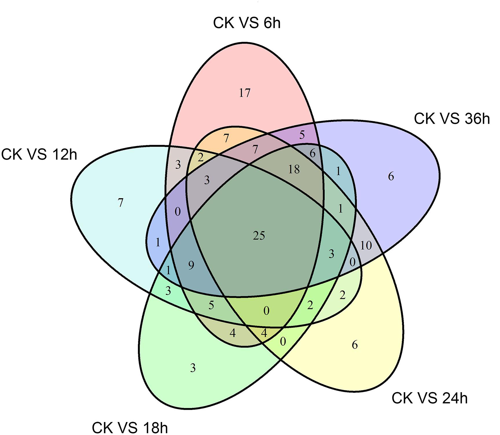 Frontiers | Bacillus thuringiensis Suppresses the Humoral Immune System