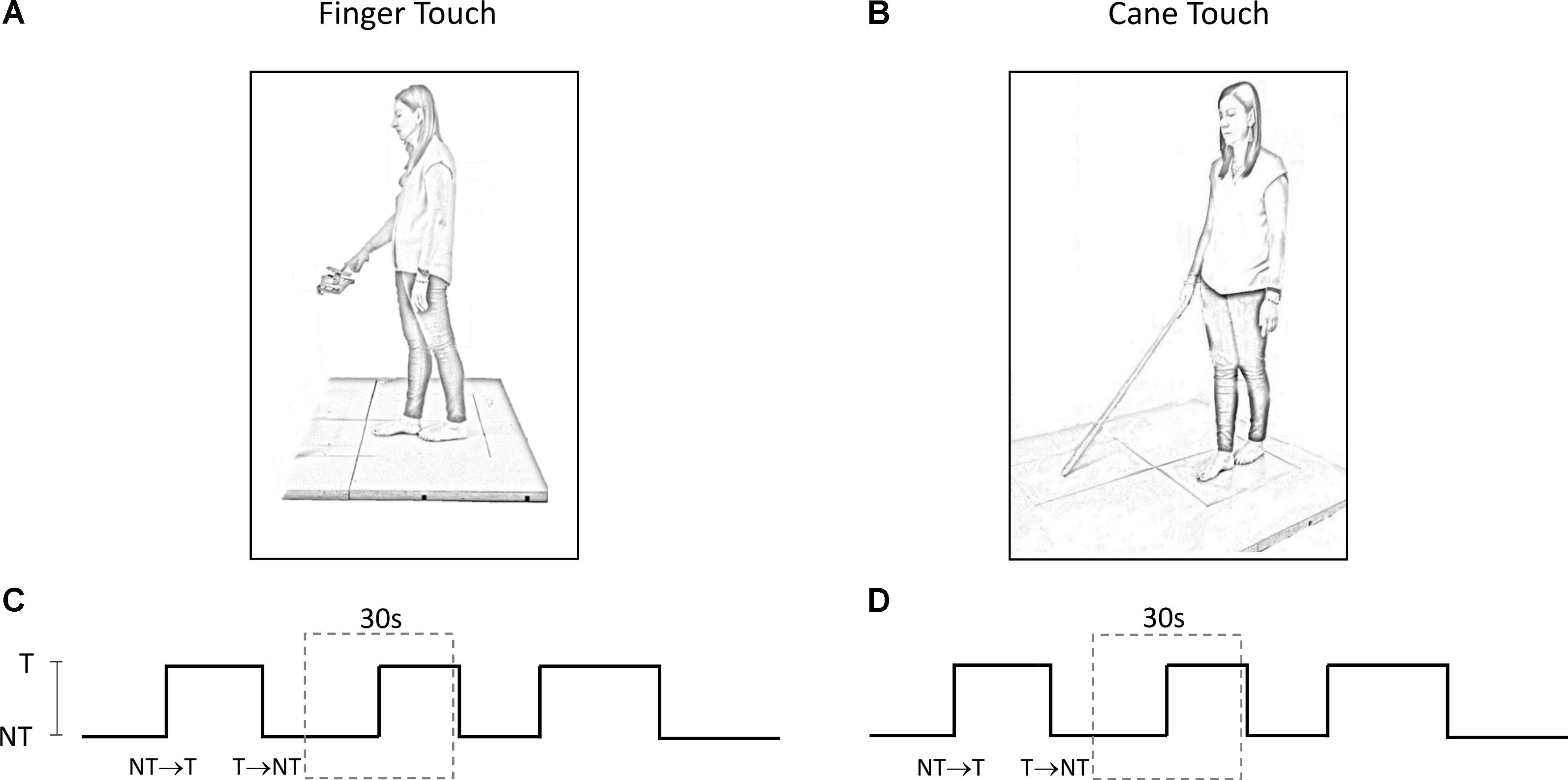 Frontiers Balance In Blind Subjects Cane And Fingertip Touch