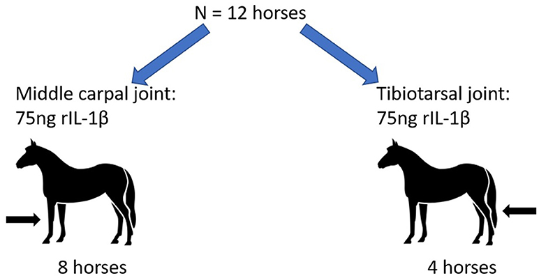 www.frontiersin.org