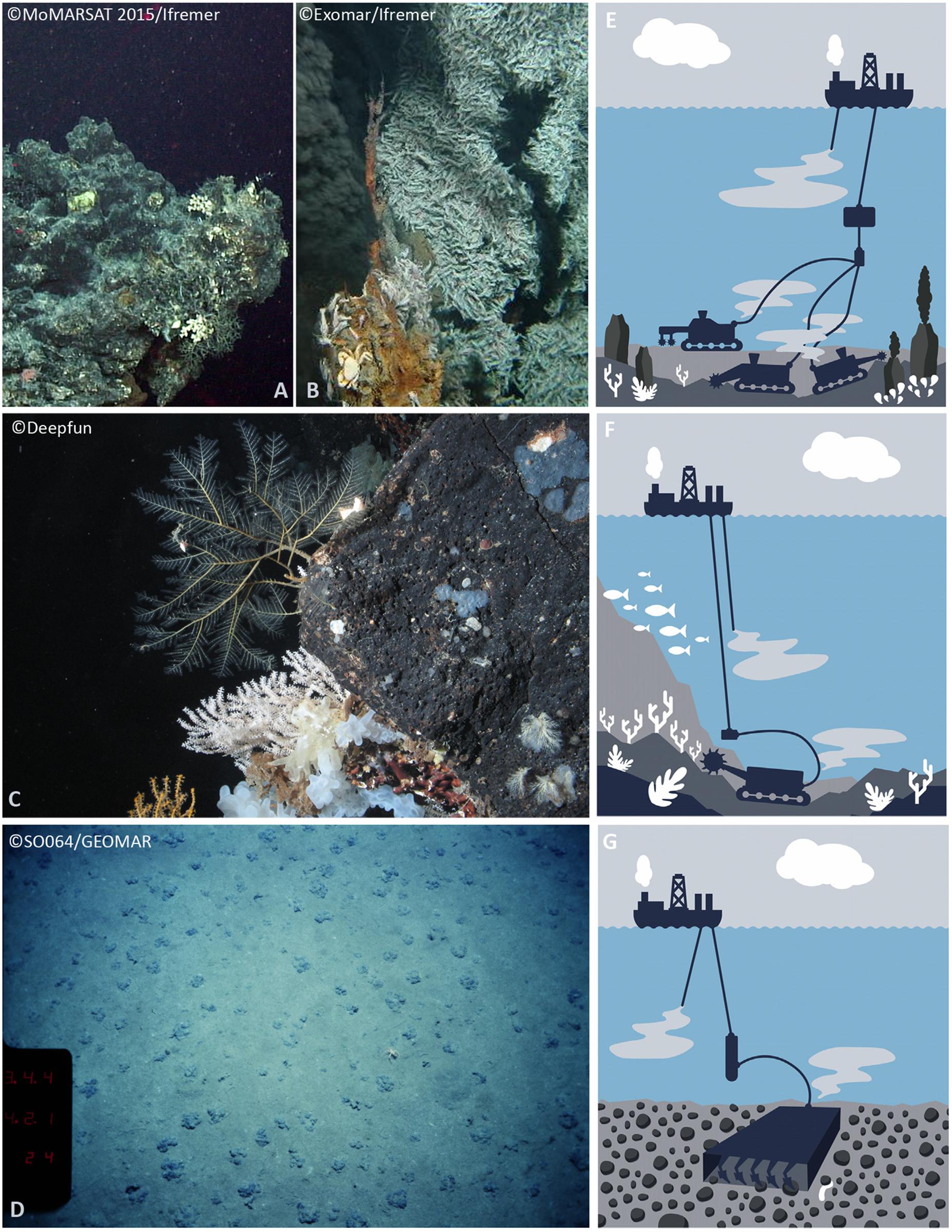 Frontiers Potential Mitigation And Restoration Actions In