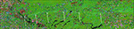 www.frontiersin.org