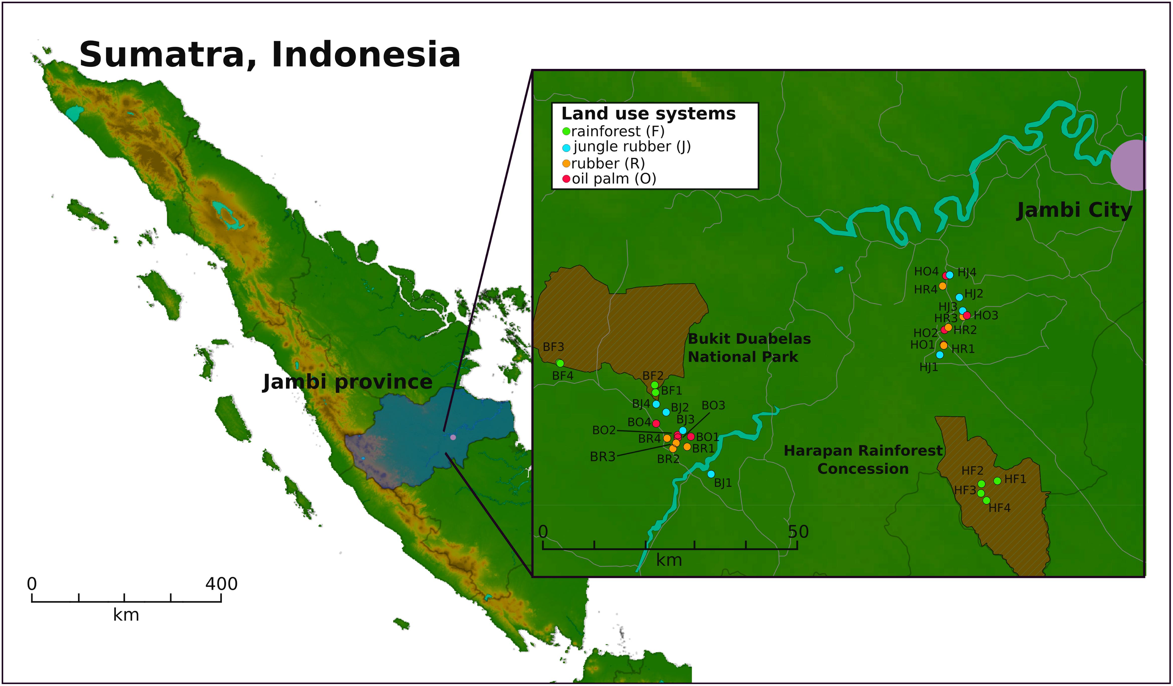 www.frontiersin.org