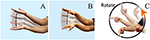 www.frontiersin.org