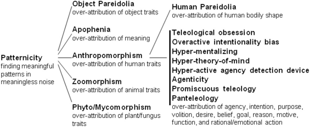Frontiers | The Biology Evolution of the Three Tendencies to Anthropomorphize Biology Evolution | Psychology