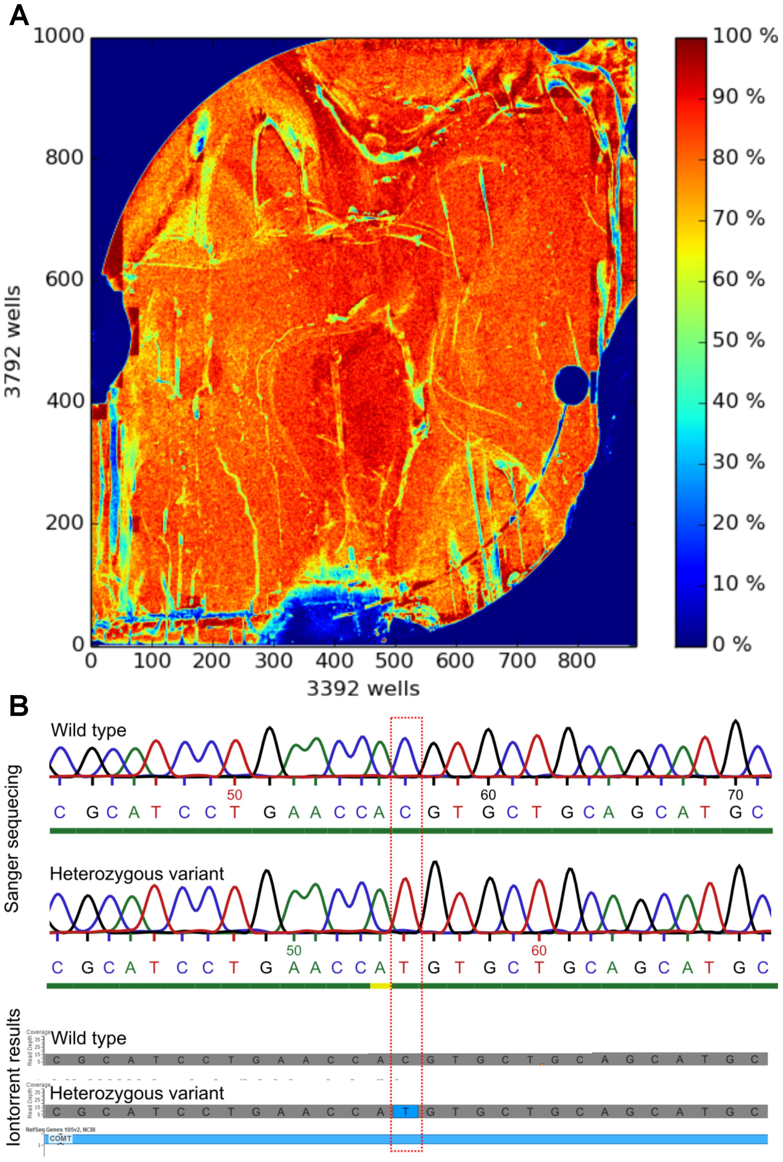 Frontiers | Development of an AmpliSeqTM Panel for Next-Generation Sequencing of a of Genetic Predictors Persisting | Pharmacology