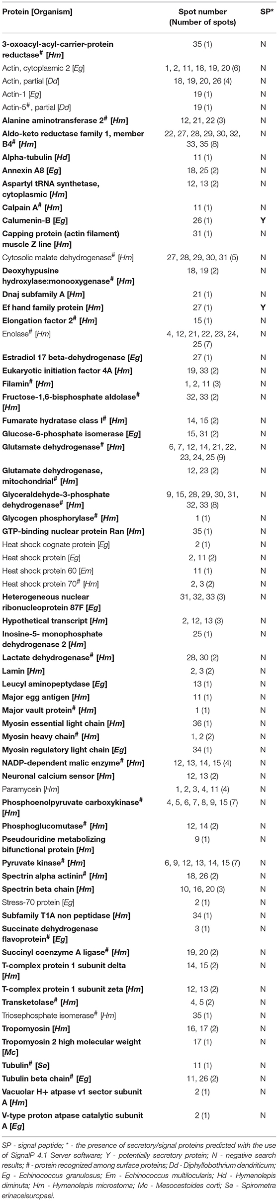 Gyógyíts meg férgeket az emberek számára, Hymenolepidosis nano