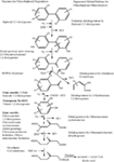 www.frontiersin.org