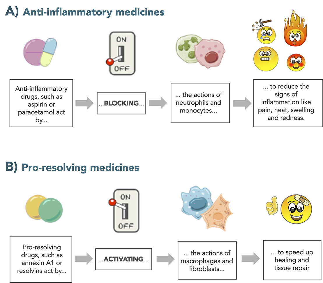 Fighting Inflammation through the MELT Method