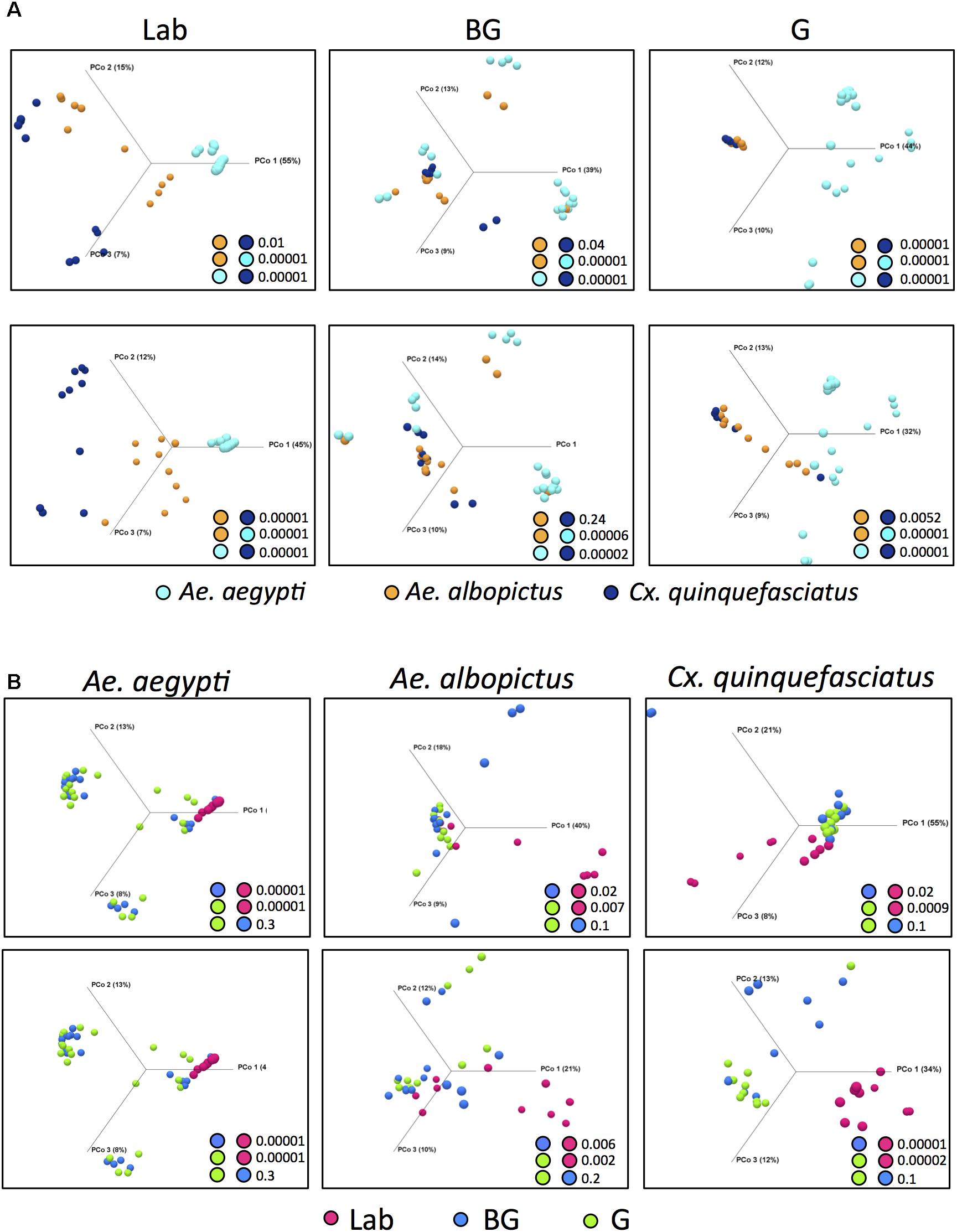 Frontiers  The Axenic and Gnotobiotic Mosquito: Emerging Models for  Microbiome Host Interactions