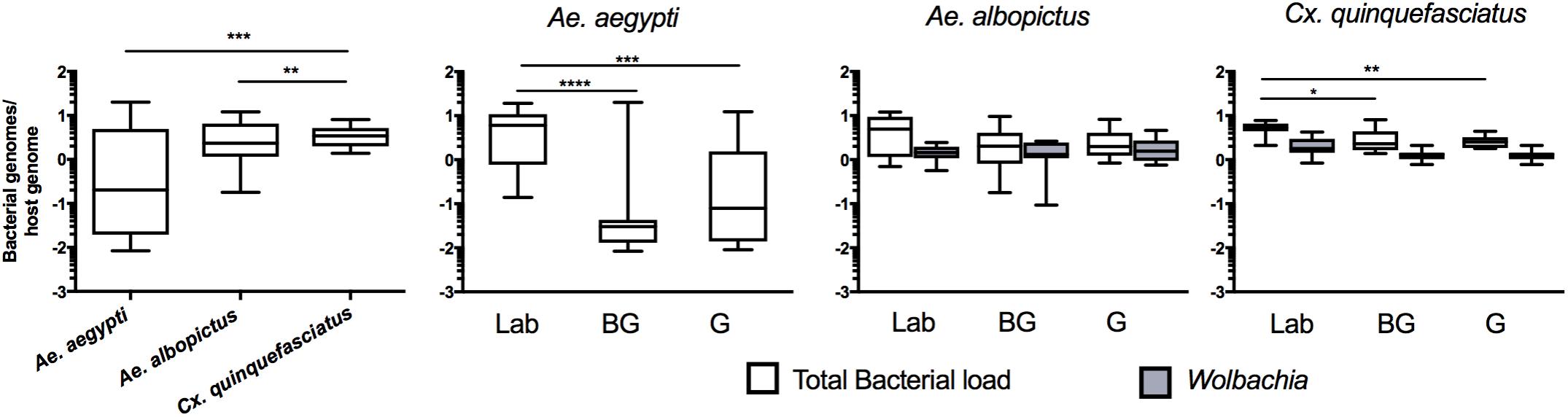 Frontiers  The Axenic and Gnotobiotic Mosquito: Emerging Models for  Microbiome Host Interactions