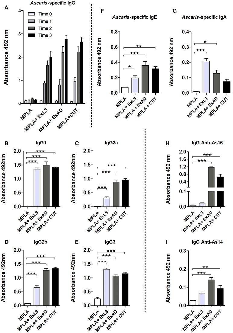 immunglobulin ascarisra