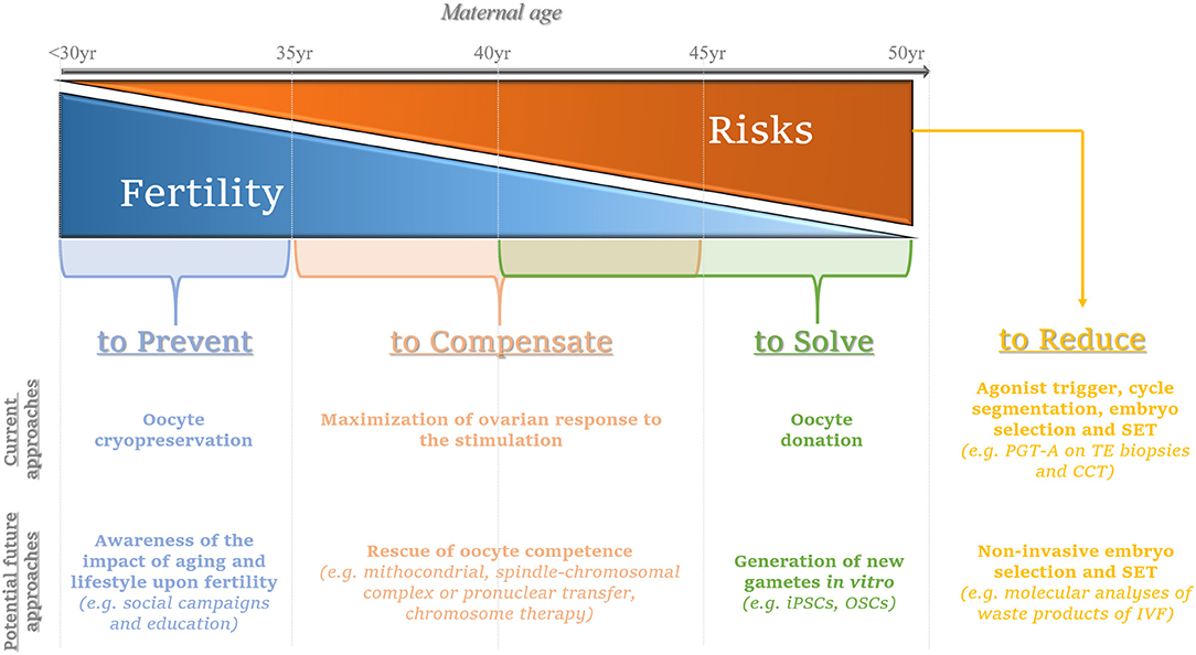 Aneuploidy Risk By Maternal Age Chart