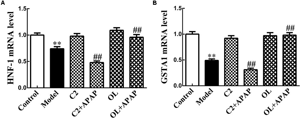 Frontiers Effects Of C2 Ceramide And Oltipraz On