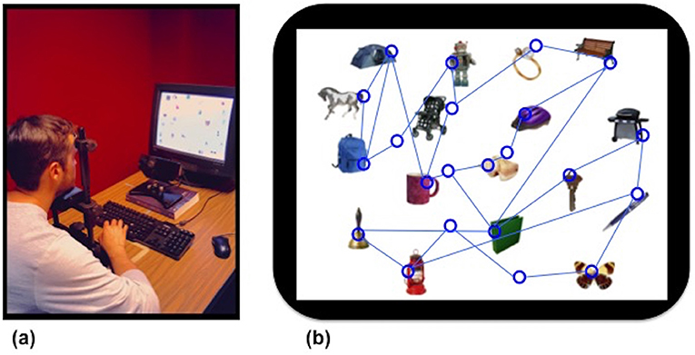 Figure 3 - Eye tracking: (A) In an eye tracking experiment, the participant sits with his head in a chin rest and looks at the computer screen.